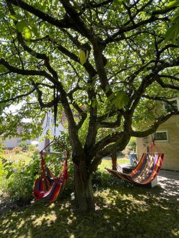 Sommerhaus Boldevitz Auf Ruegen Exteriér fotografie